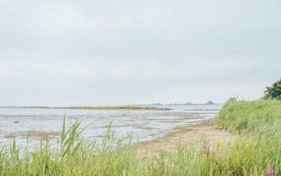 Wandelroute Natuureiland Tiengemeten