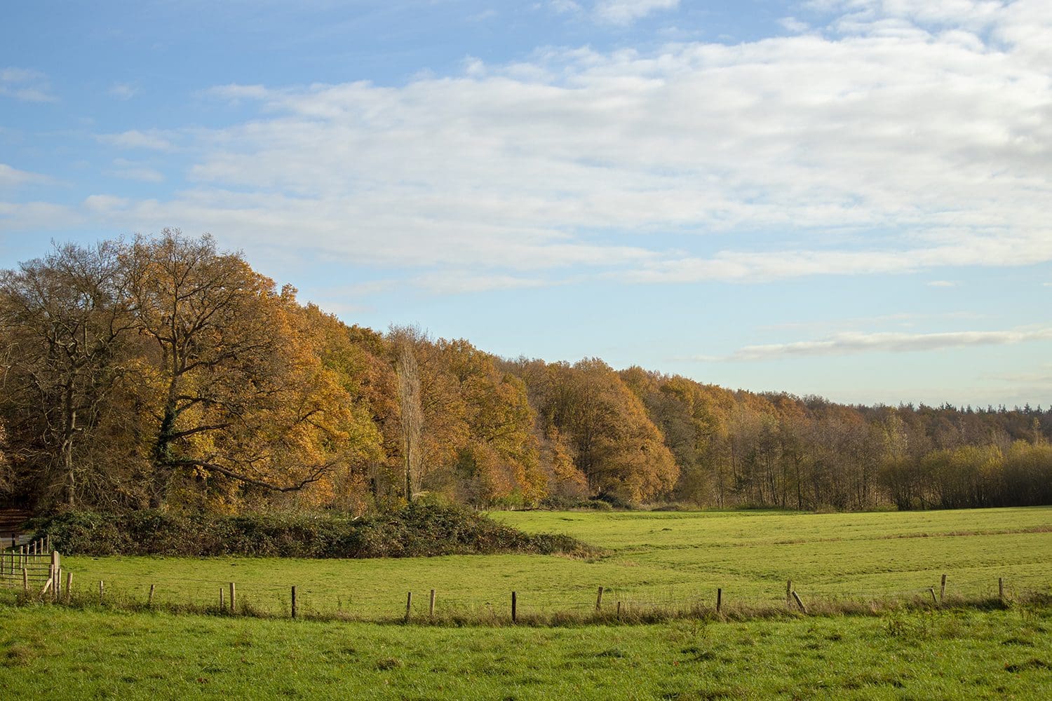 wandelen over de Amerongse Berg
