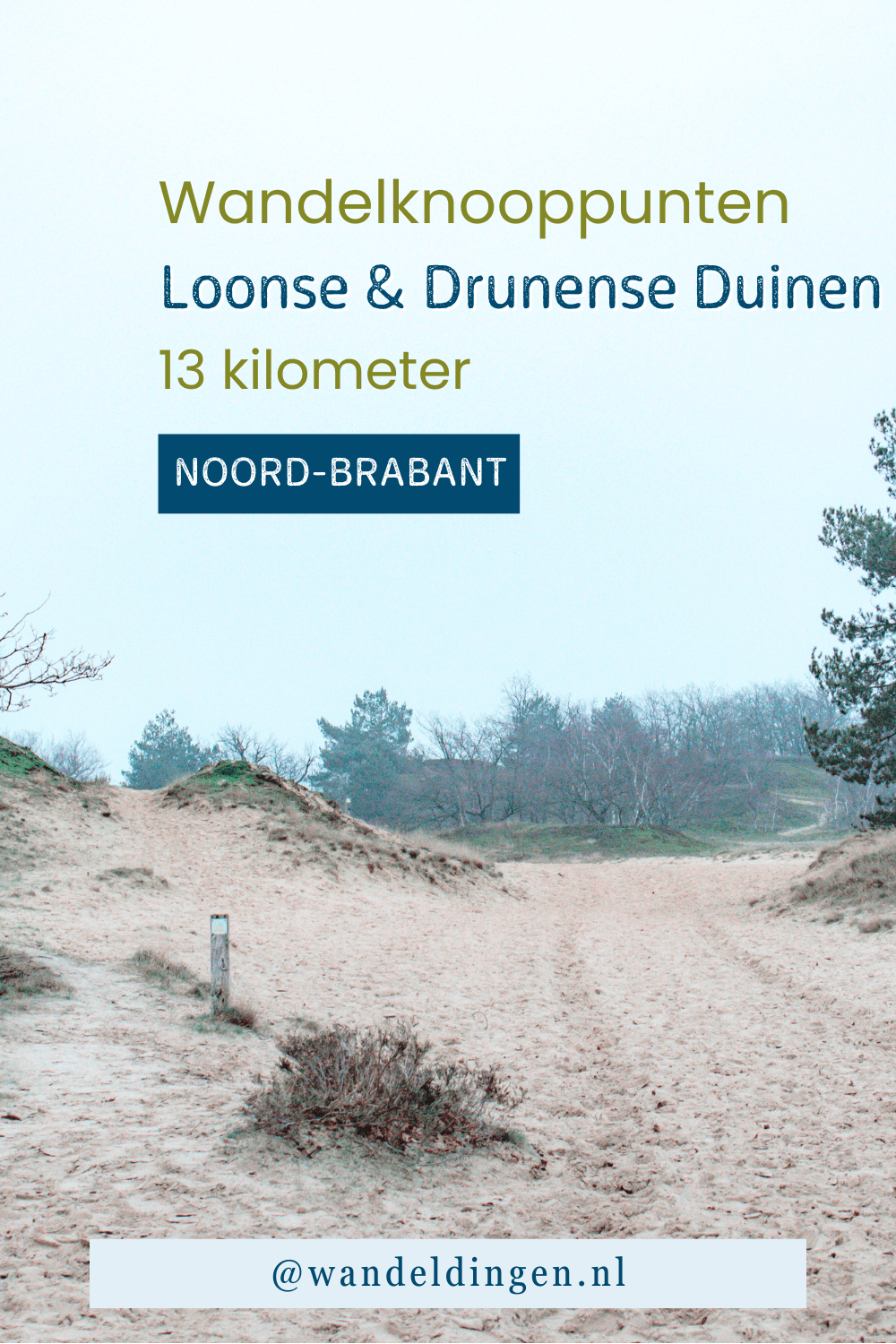 Wandelknooppunten Loonse & Drunense Duinen