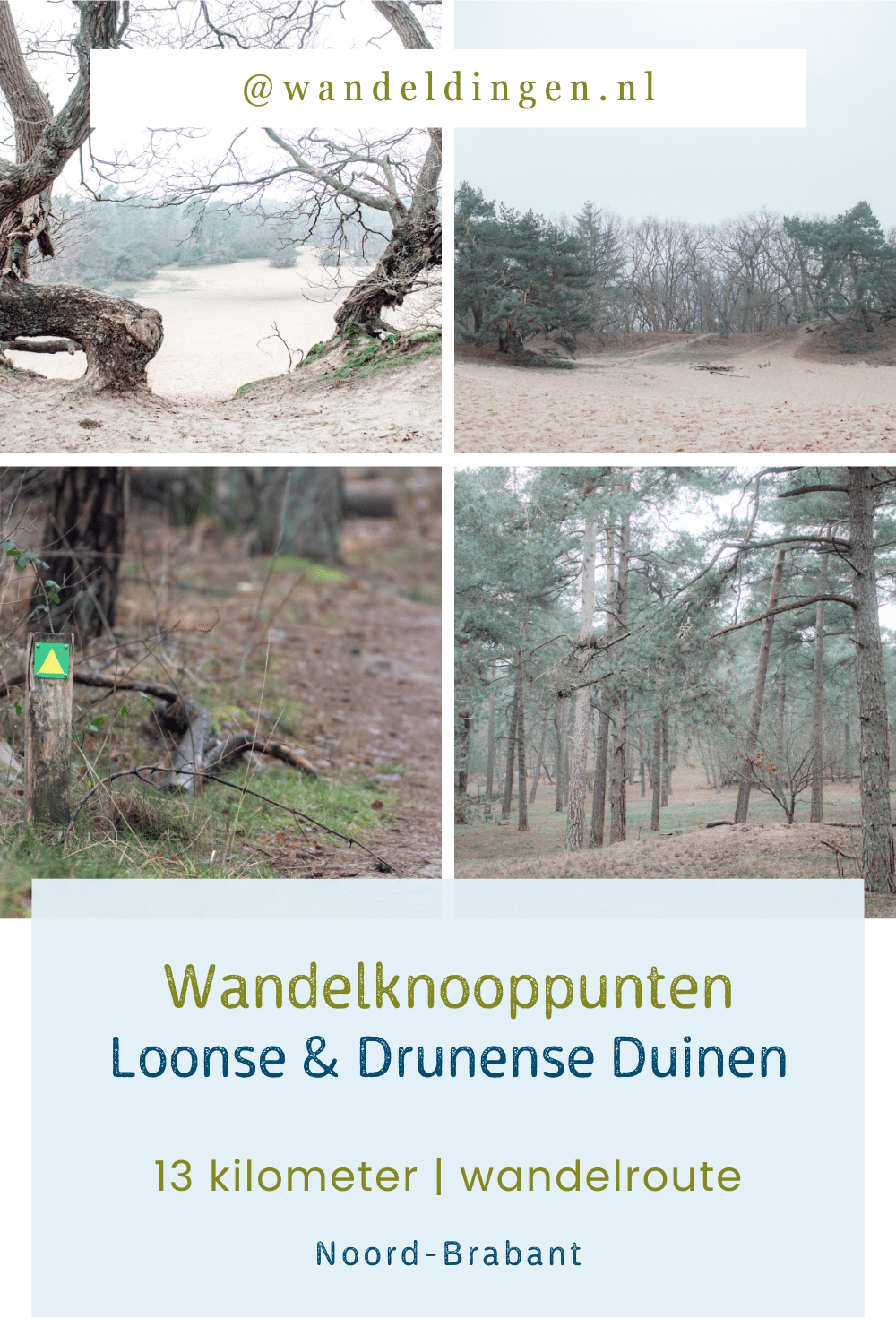 Wandelknooppunten Loonse & Drunense Duinen