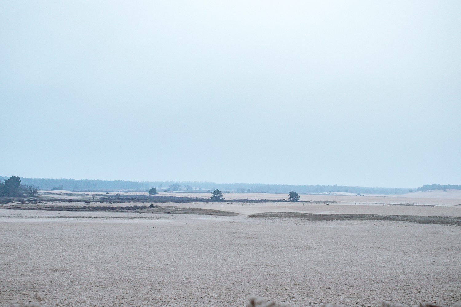 Wandelknooppunten Loonse & Drunense Duinen