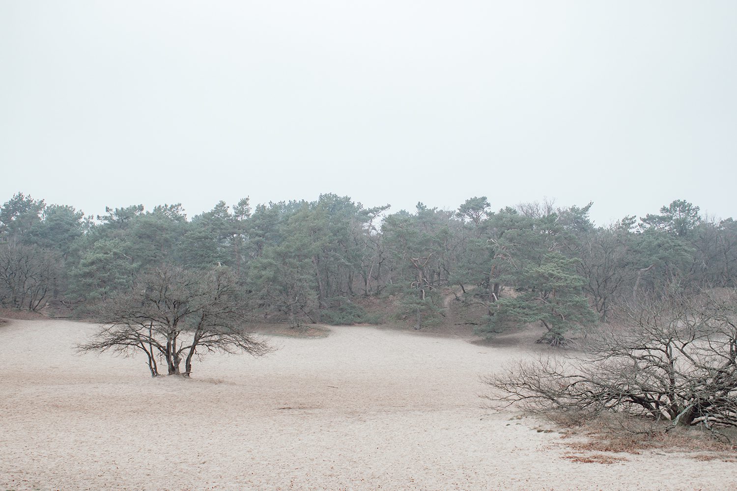 Wandelknooppunten Loonse & Drunense Duinen