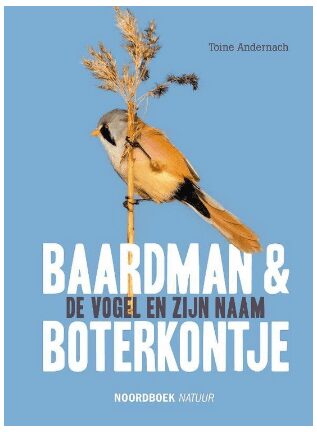 Baardman & Boterkontje