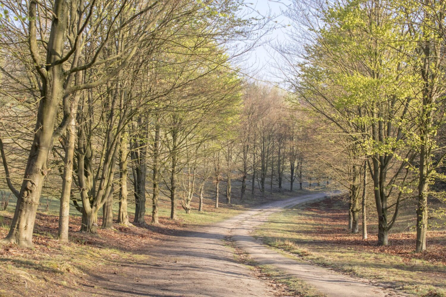 Wandelen over Landgoed De Paltz