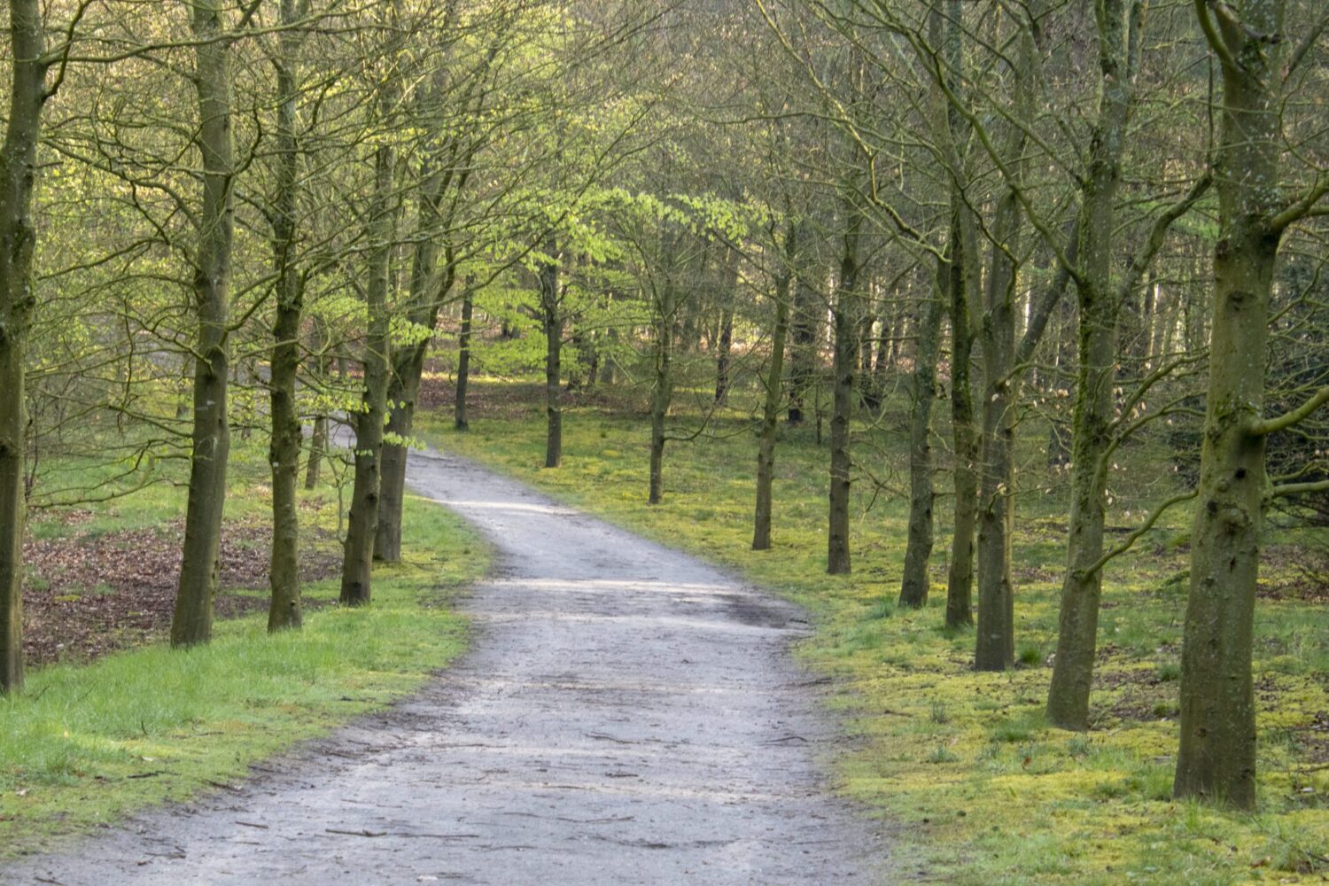 Wandelen over Landgoed De Paltz