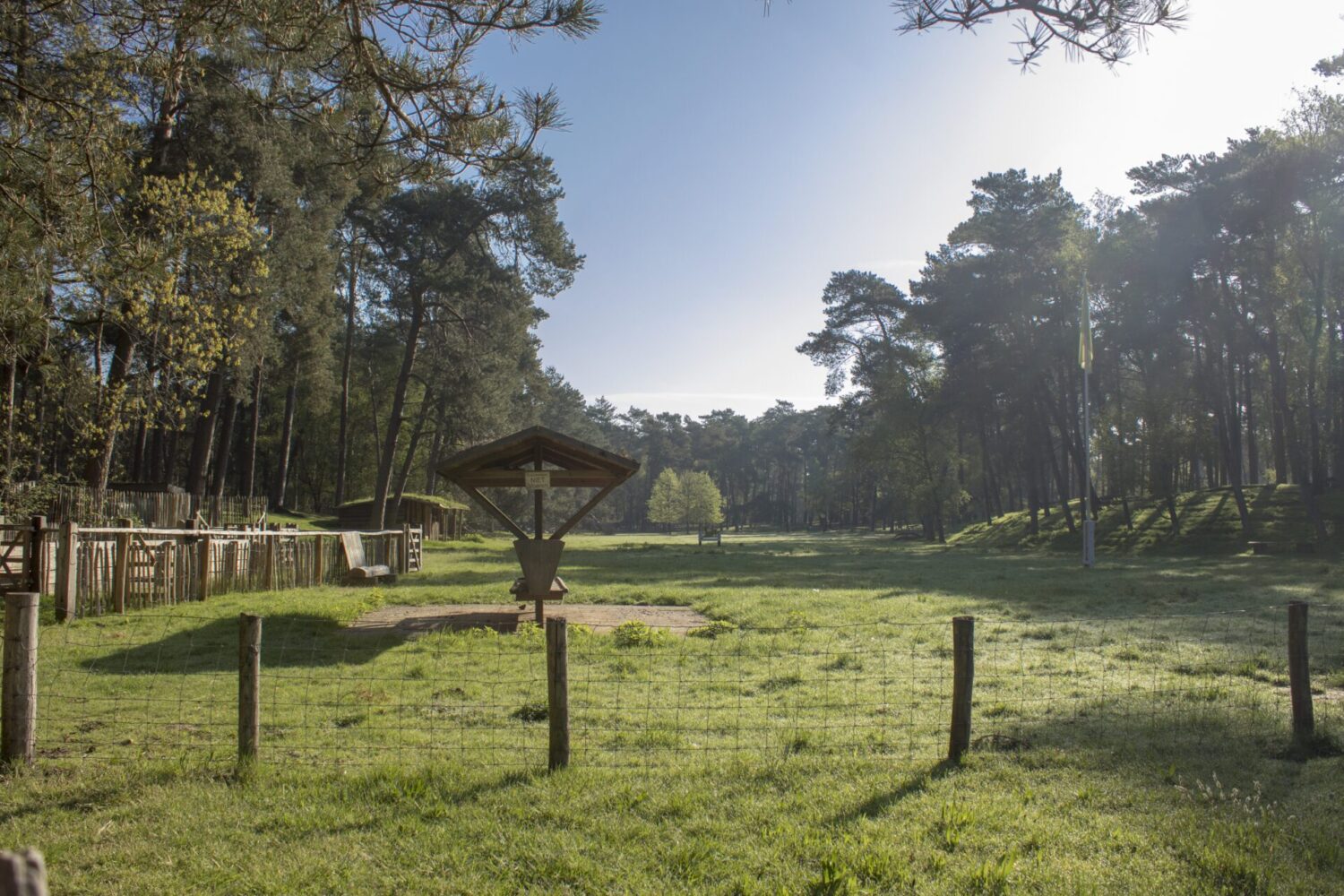 Wandeling op heidestein