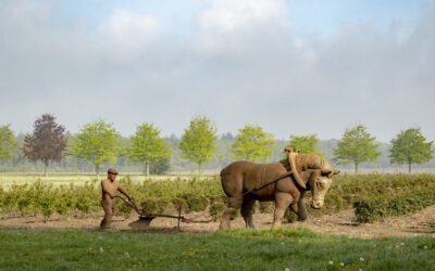 Wandelroute Landgoed De Utrecht