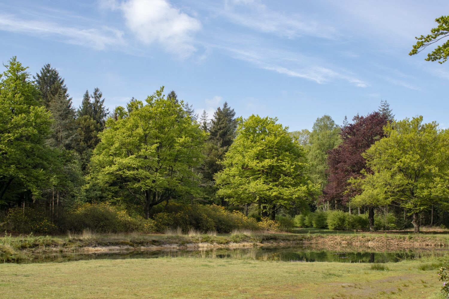 Wandelen Landgoed De Utrecht