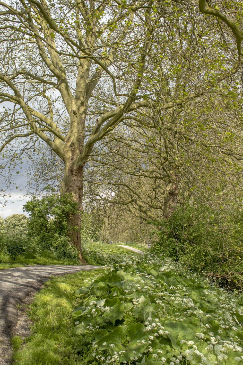 Wandeling in Gorinchem