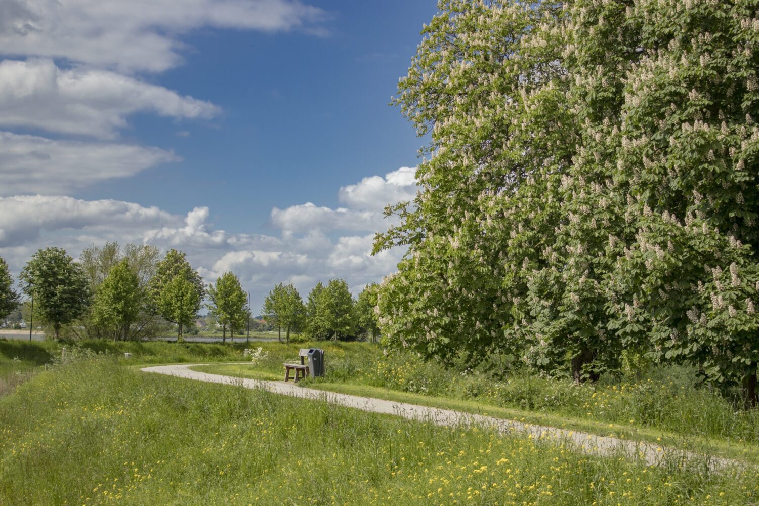 Wandeling in Gorinchem