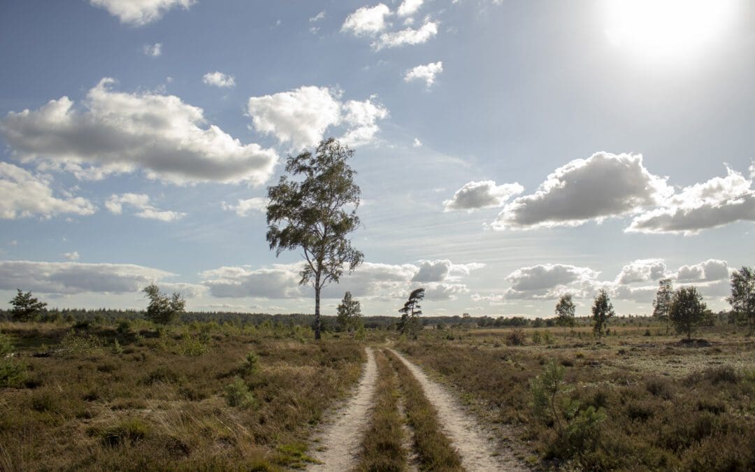 Wolfsslenkroute