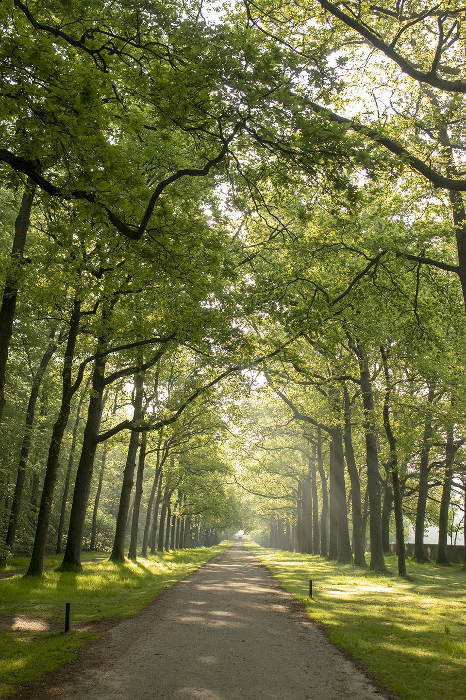 wandelen in Paleispark Het Loo