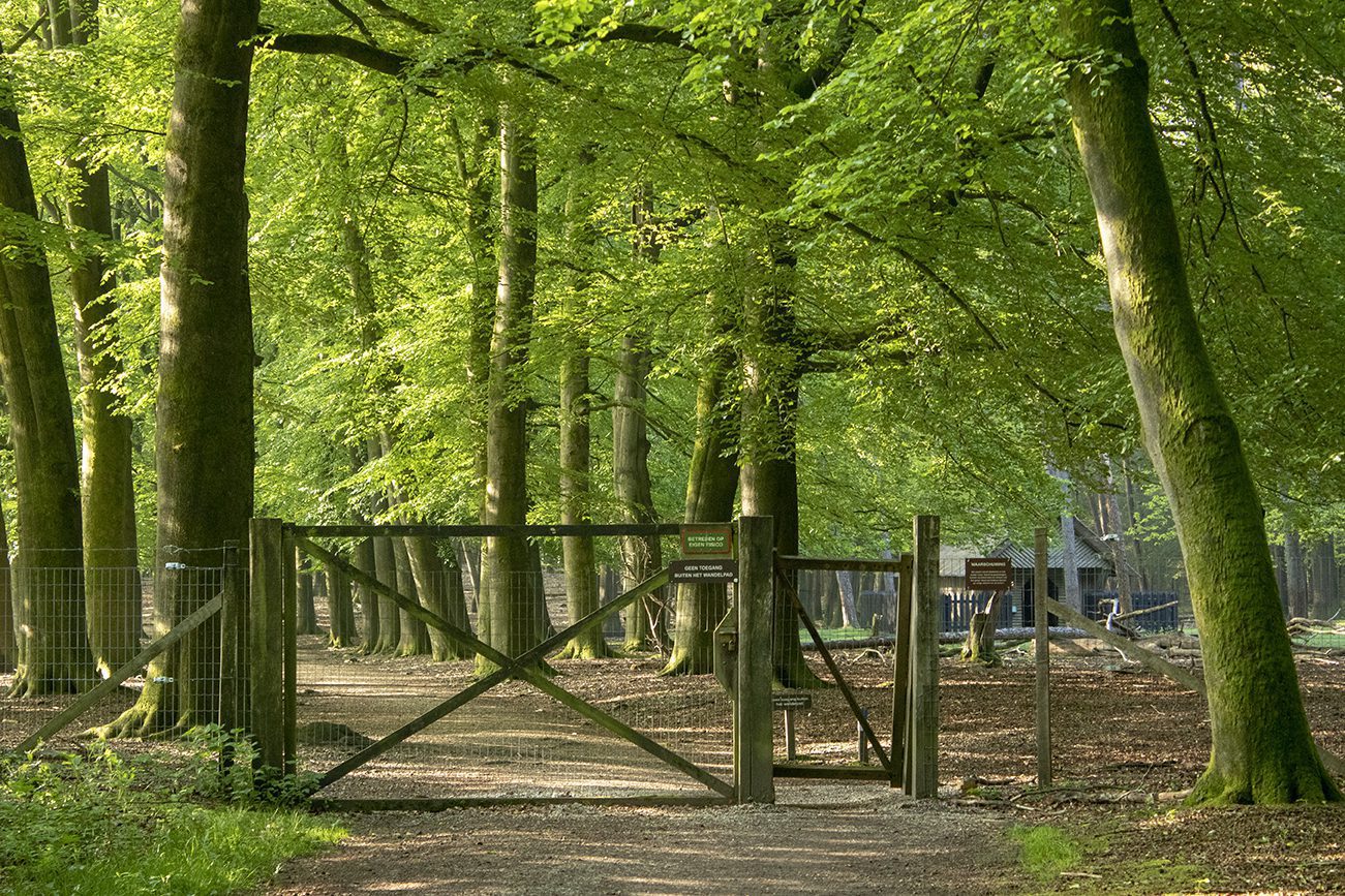 wandelen in paleispark het loo