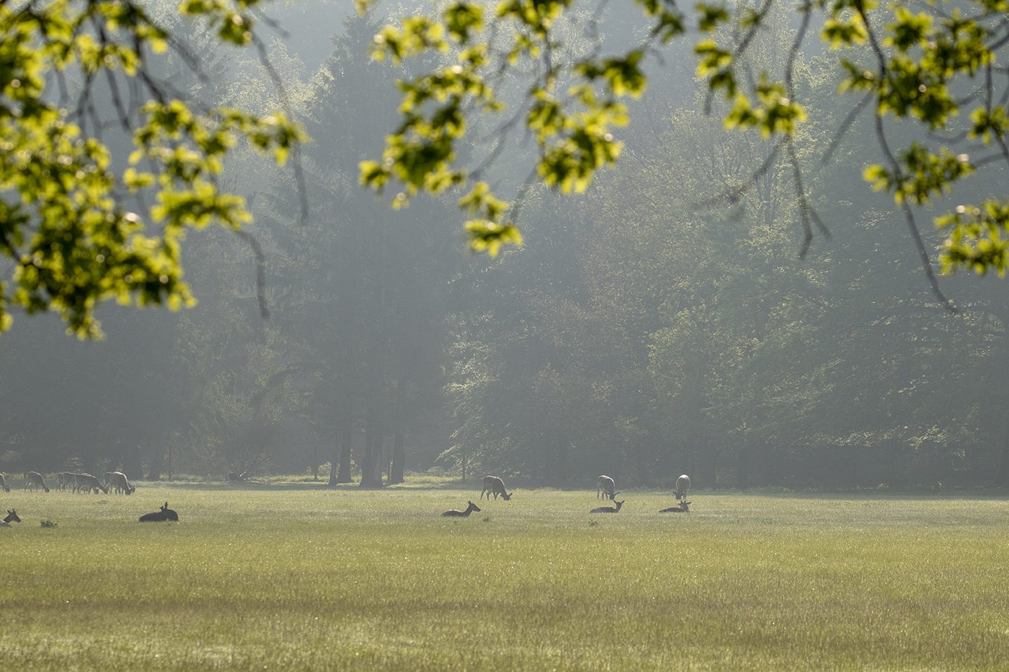 wandelen in paleispark het loo