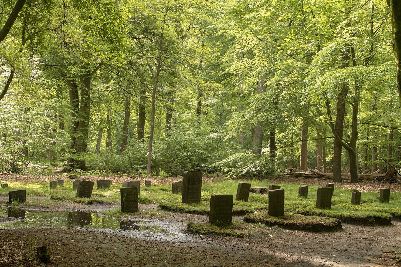 wandelen in paleispark het loo