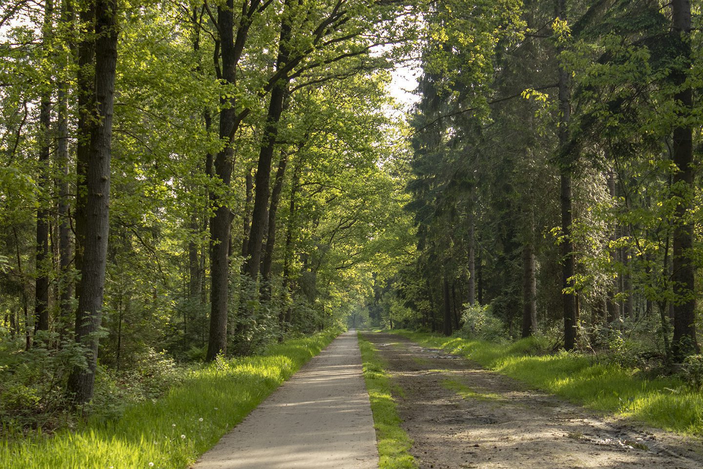 wandelroute hunebedden