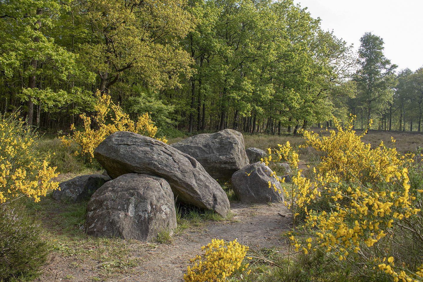 wandelroute hunebedden