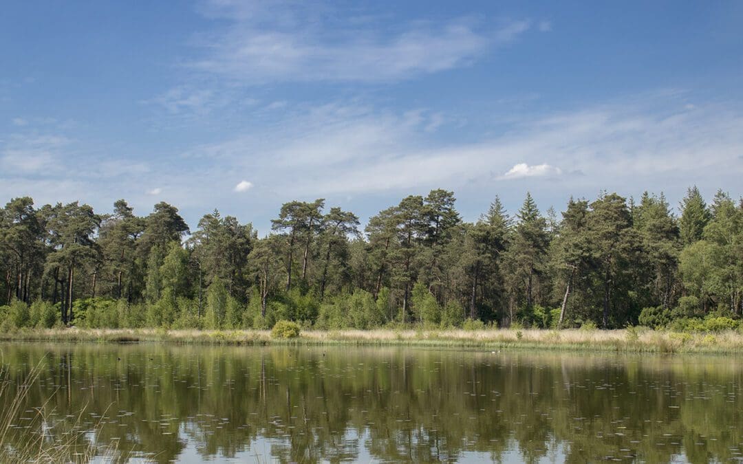 wandeling Besthmenerberg