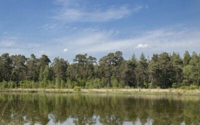 Wandelroute over de Besthmenerberg