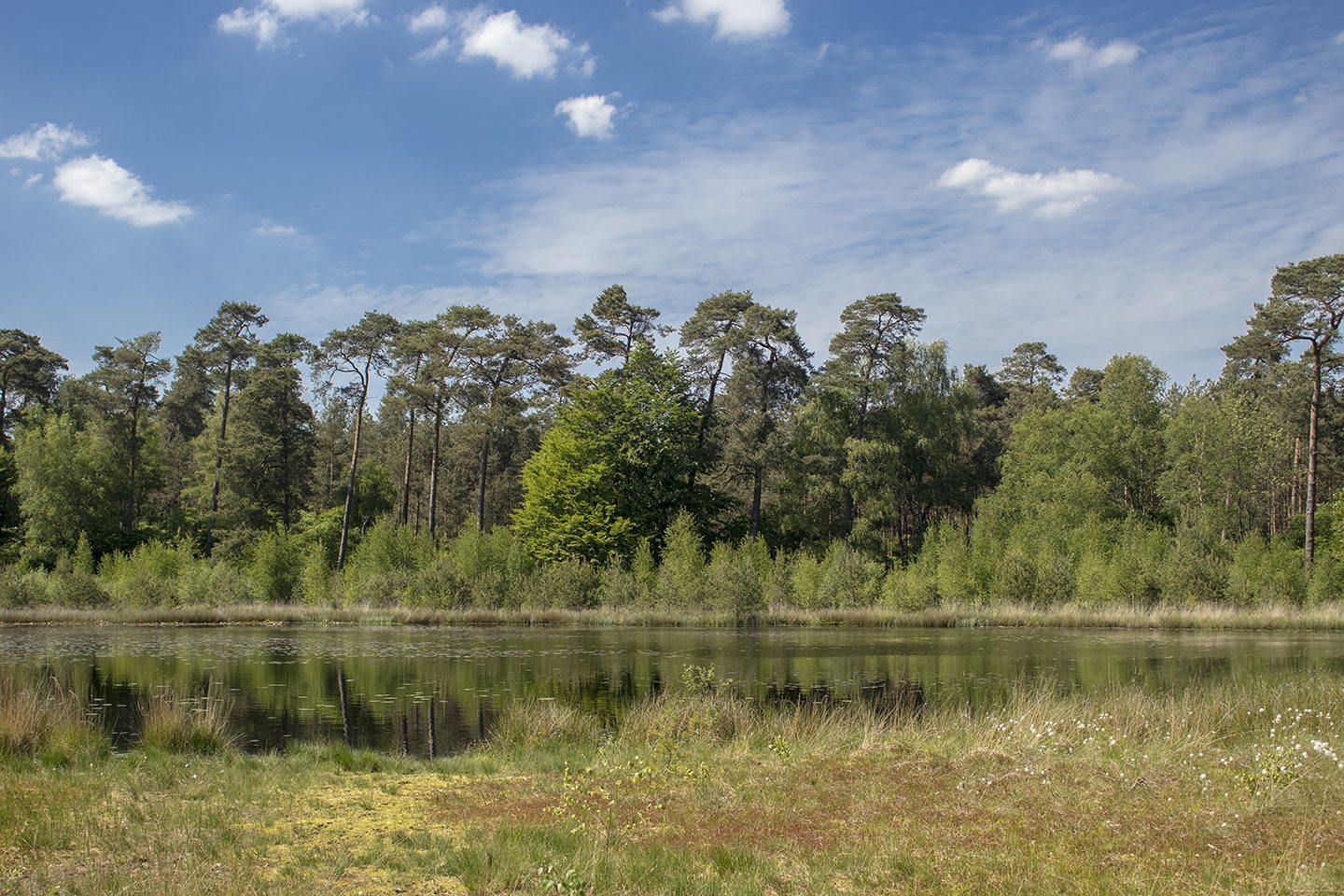 wandeling Besthmenerberg