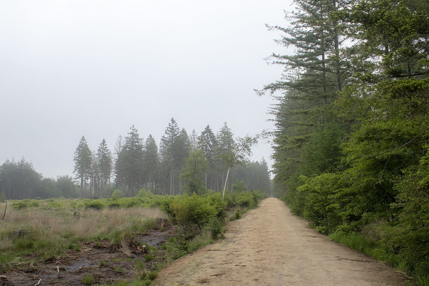 plankenpad route