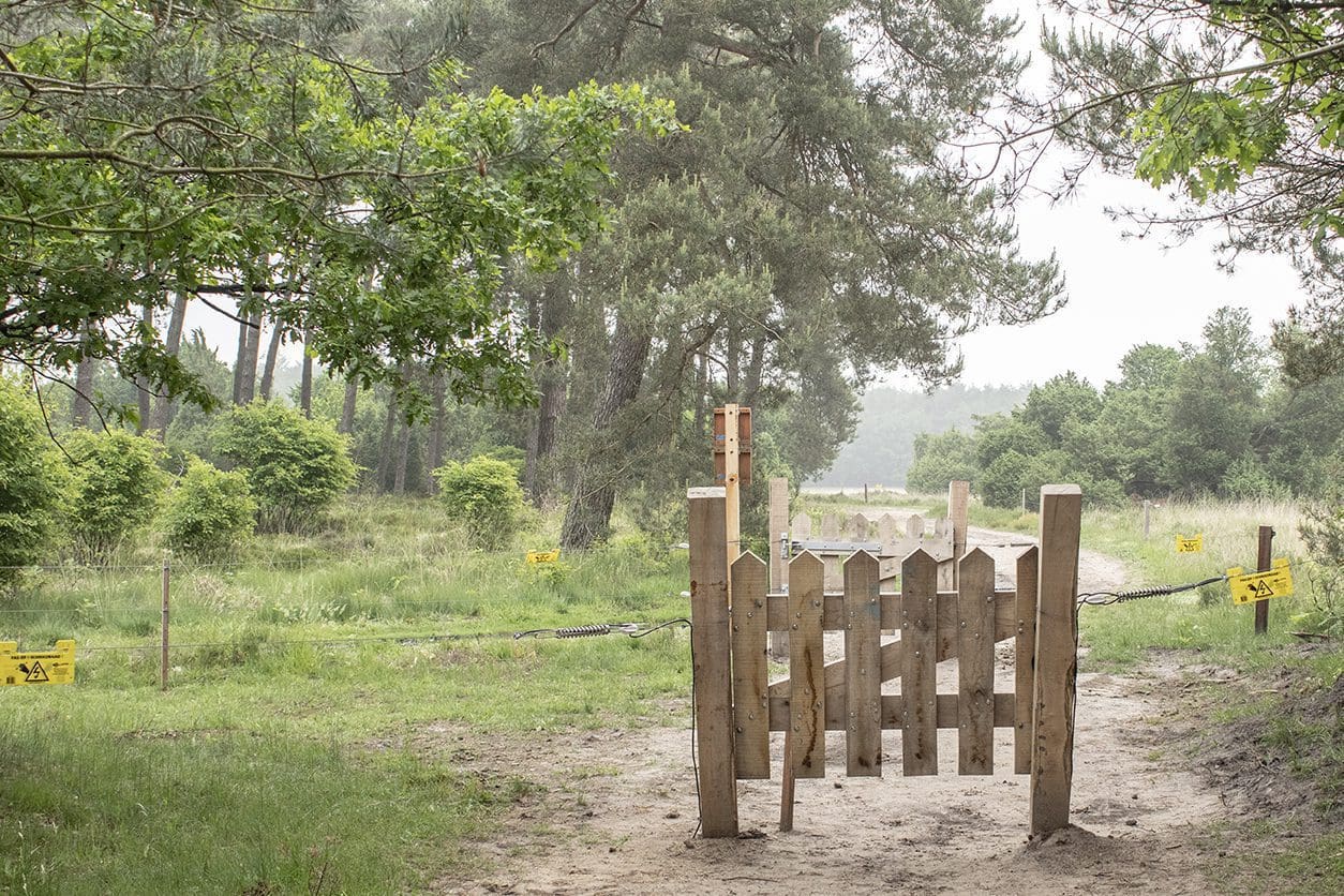 Plankenpad Spier