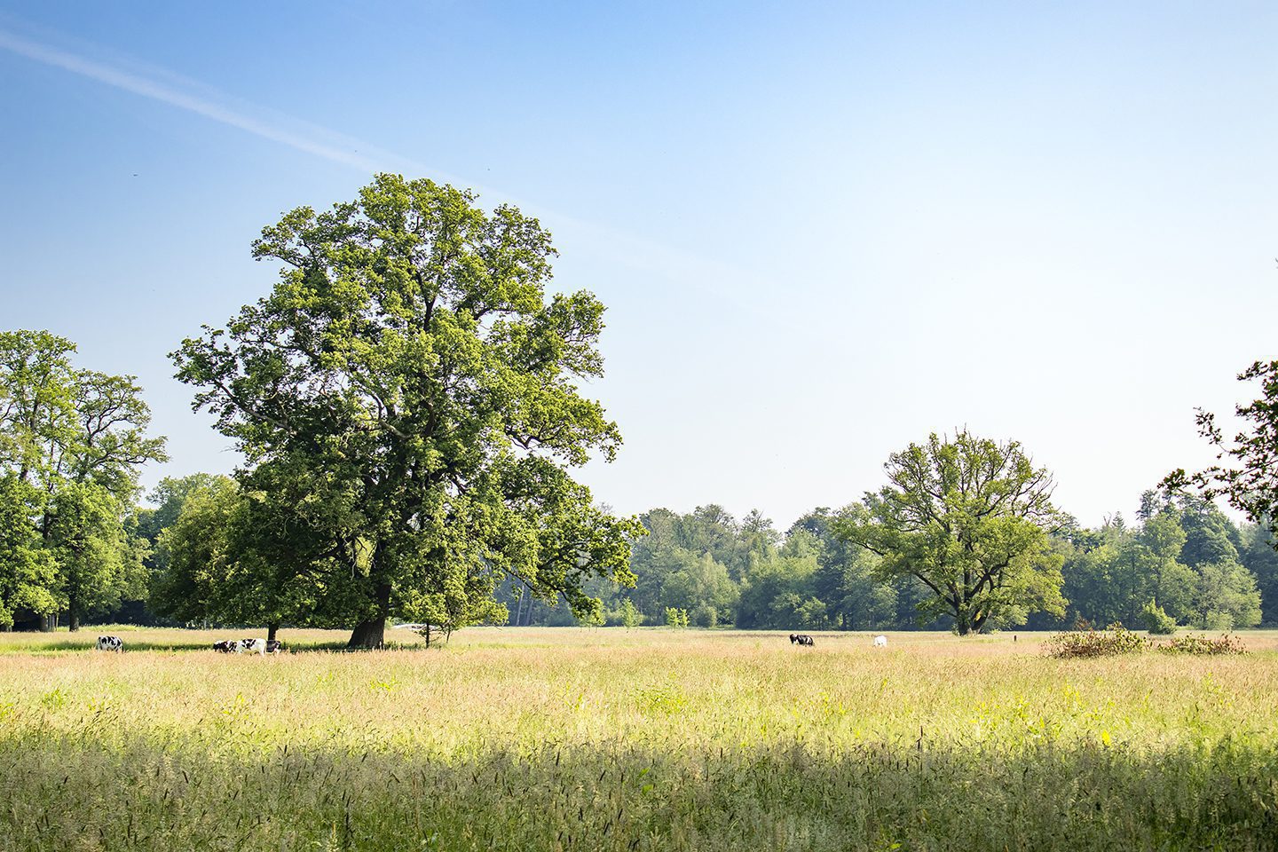 landgoed Twickel