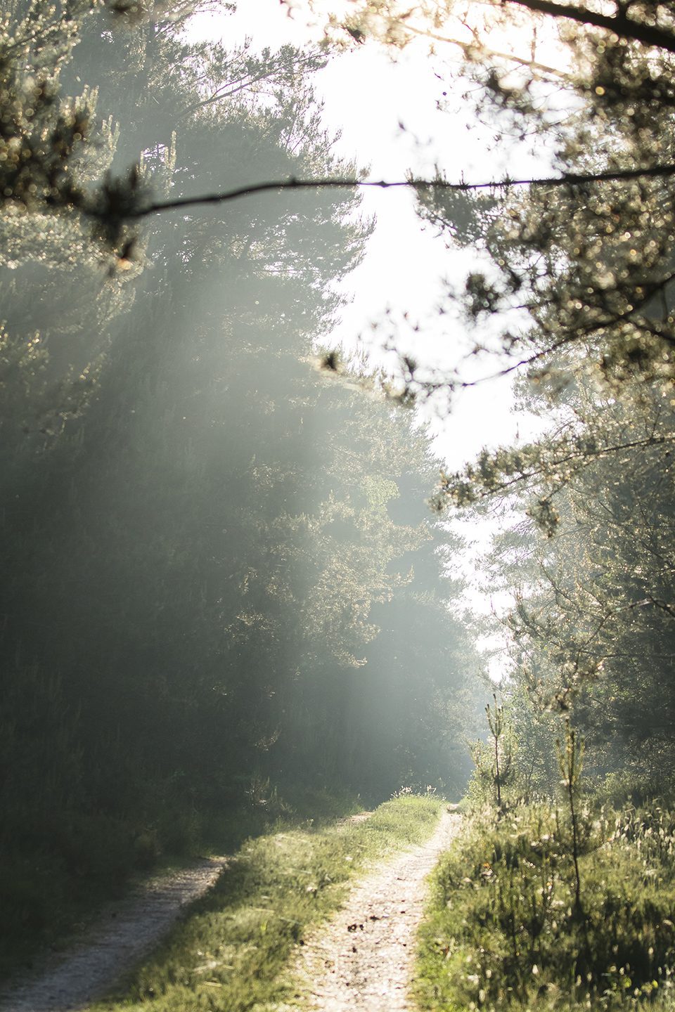 wandelen Kroondomein