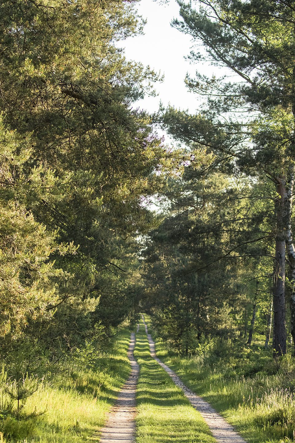 wandelen Kroondomein