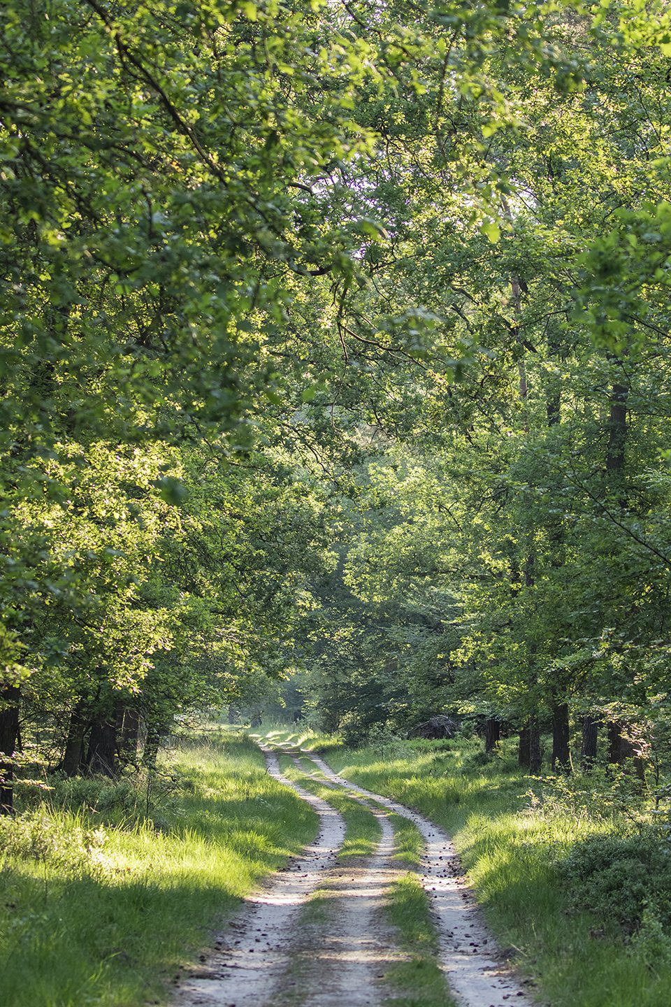 wandelen Kroondomein