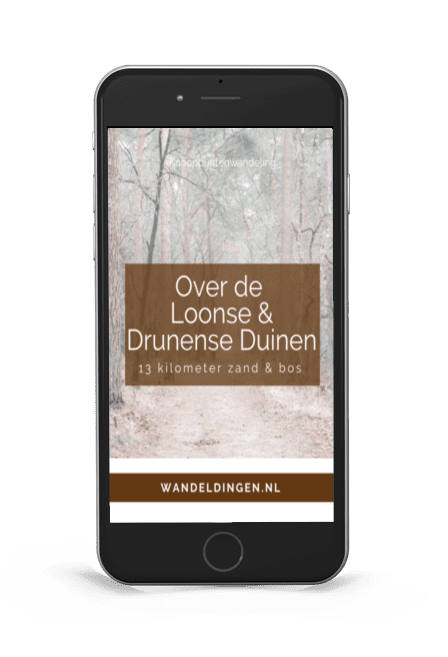 wandelen-loonse-duinen