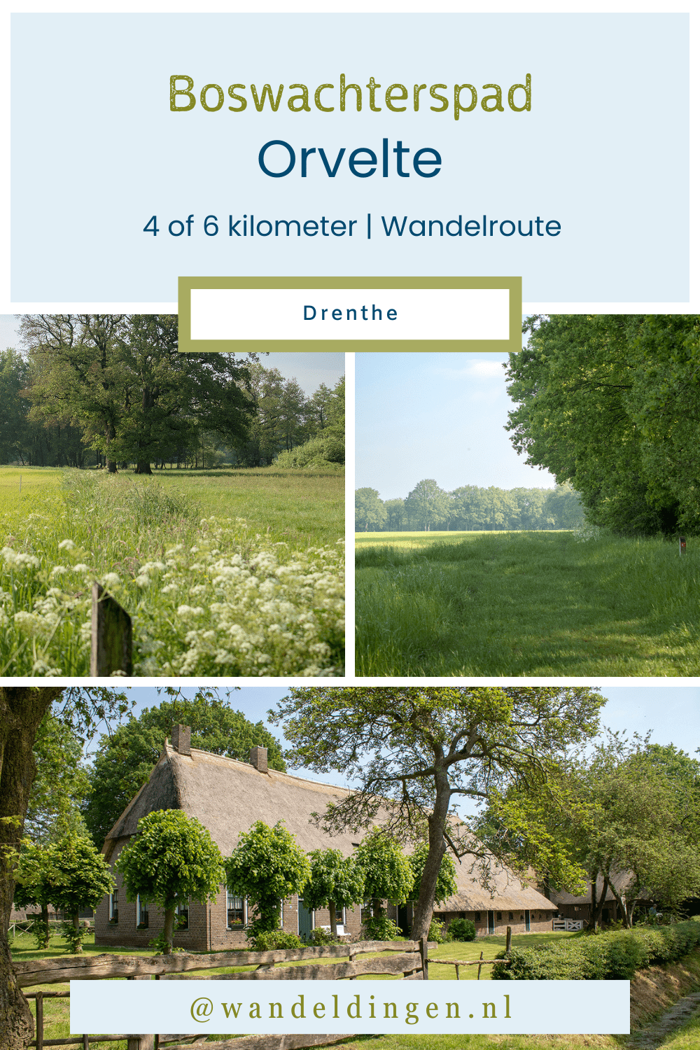 Boswachterspad Orvelte