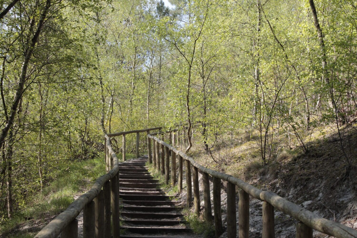 Wandelen in Schoorl