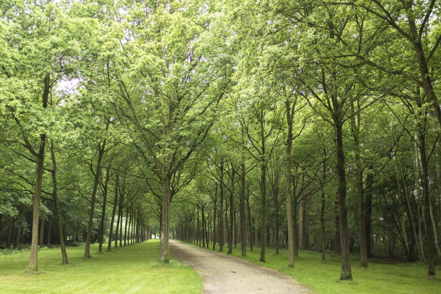 landgoed Groeneveld Baarn