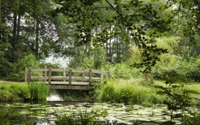 Rondje Landgoed Groeneveld Baarn