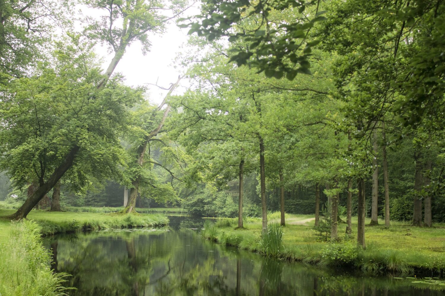 landgoed Groeneveld Baarn