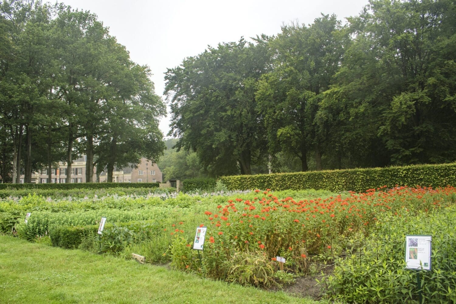 Engelse park
