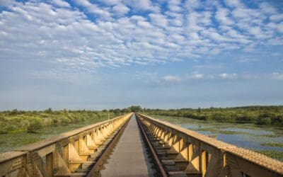 Boswachterspad Moerputtenbrug 
