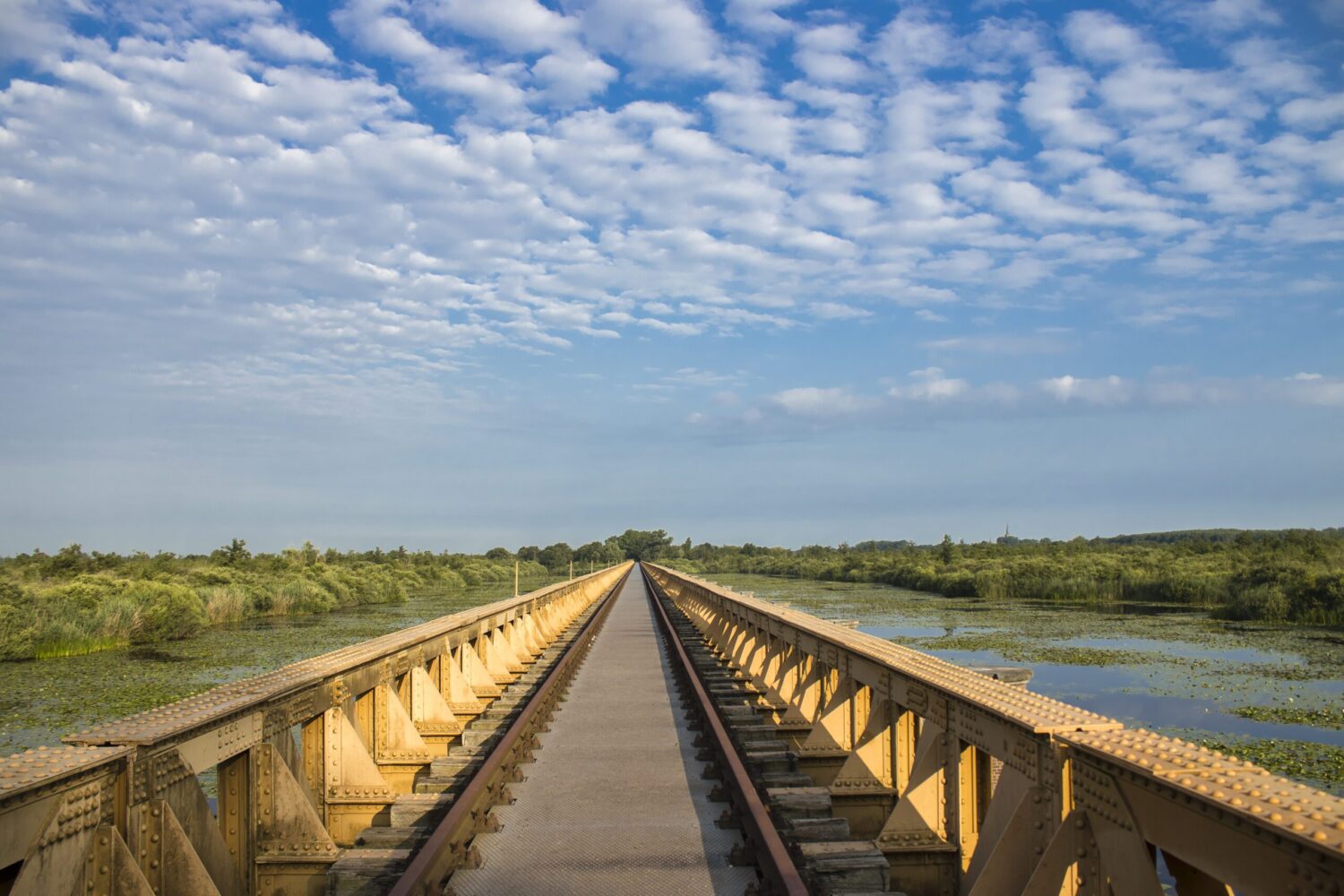 Moerputtenbrug