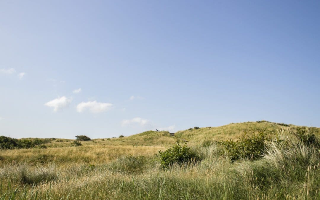 fotowandeling zwanenwater