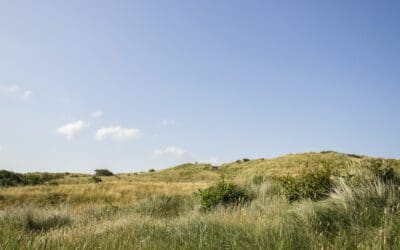 Fotowandeling Zwanenwater