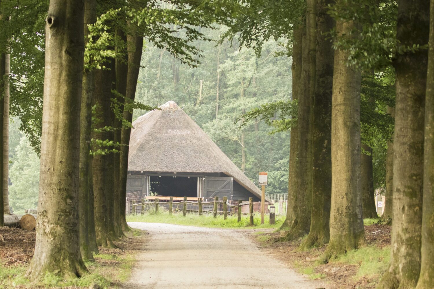 wandelroute Hoog Buurlo