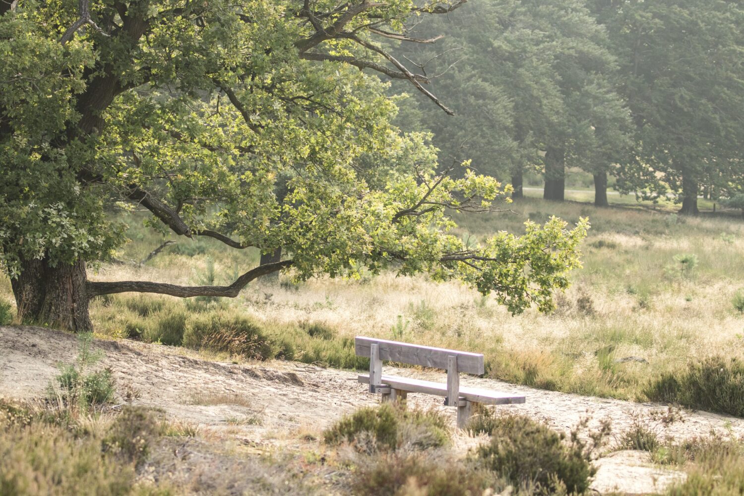 wandelroute Hoog Buurlo