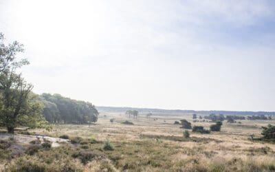 Wandelroute Hoog Buurlo: verrassende vergezichten