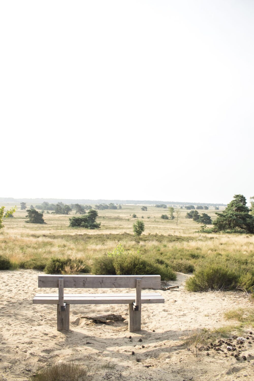 wandelroute Hoog Buurlo