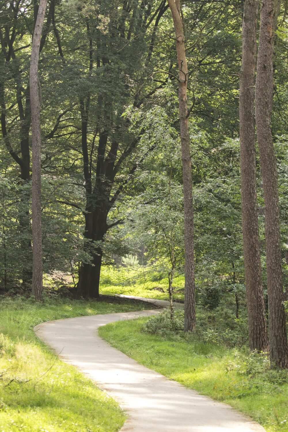 wandelroute Hoog Buurlo