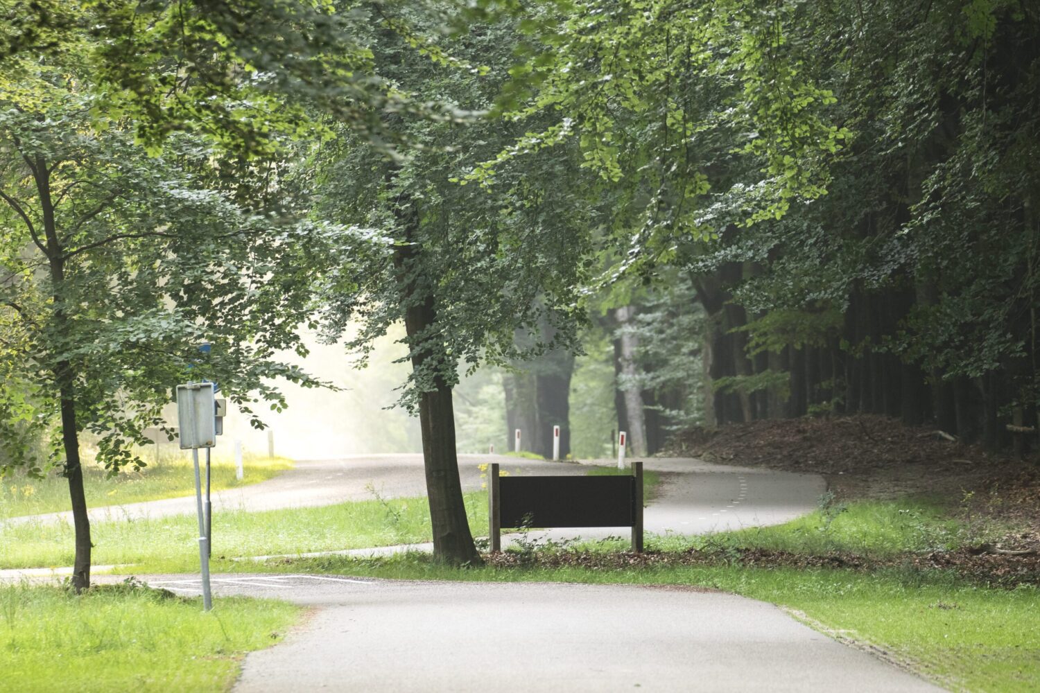 wandelroute hoog buurlo