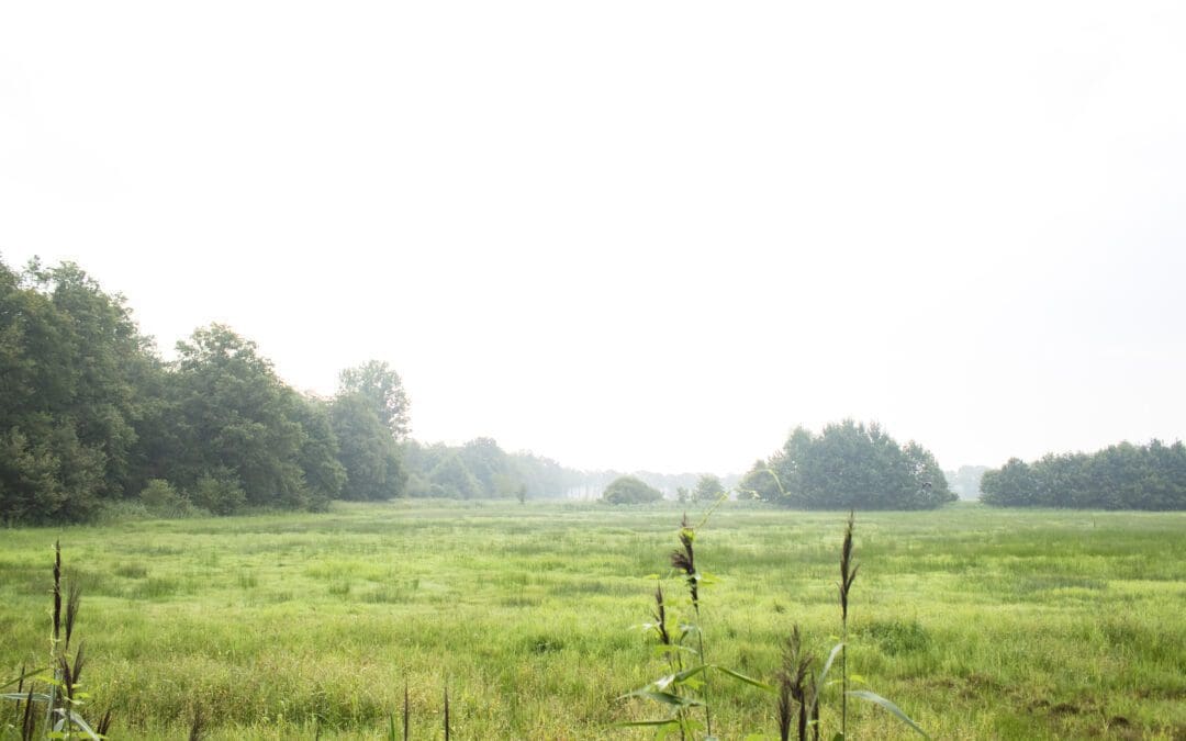 wandelroute kampina