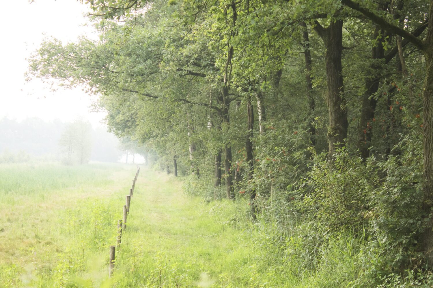 wandelroute kampina