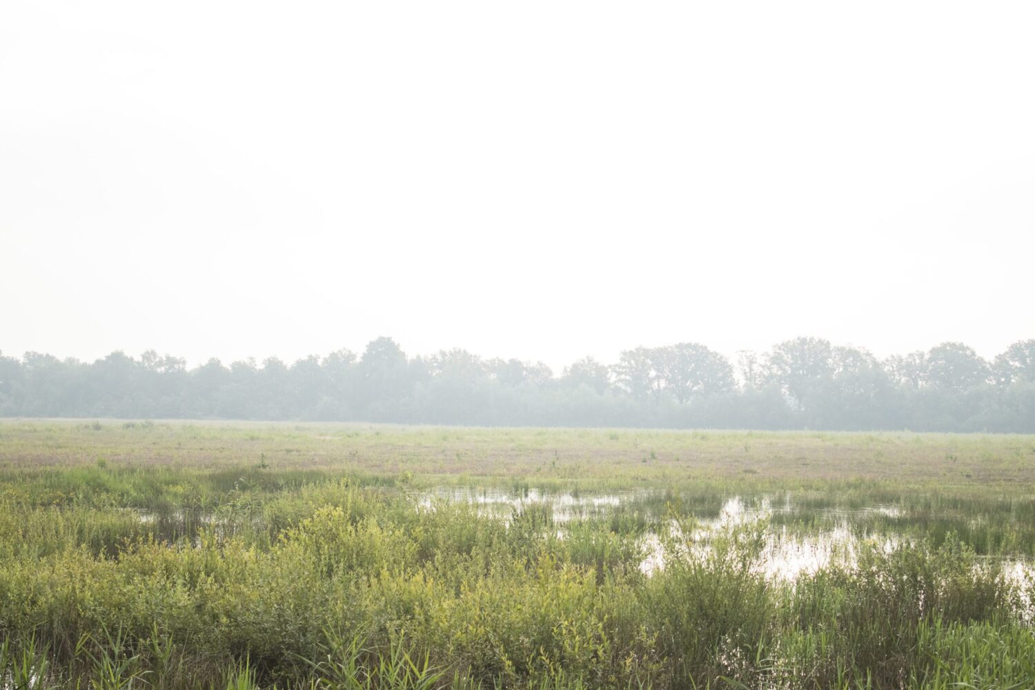 wandelroute kampina